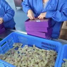 广州捷美电子仪器厂 专业赋能美容院，打造科技美肤新体验